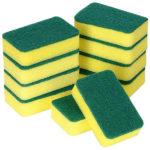 Sponges1